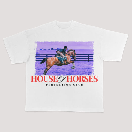 HOUSE OF HORSES Oversized Heavyweight TSHIRT..