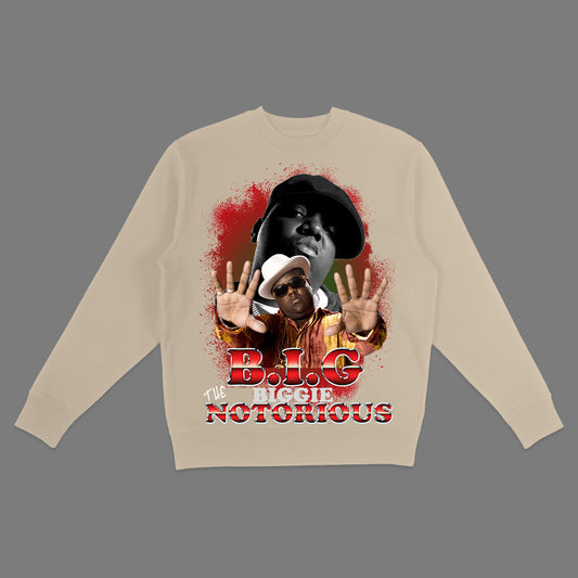 BIG sweatshirt